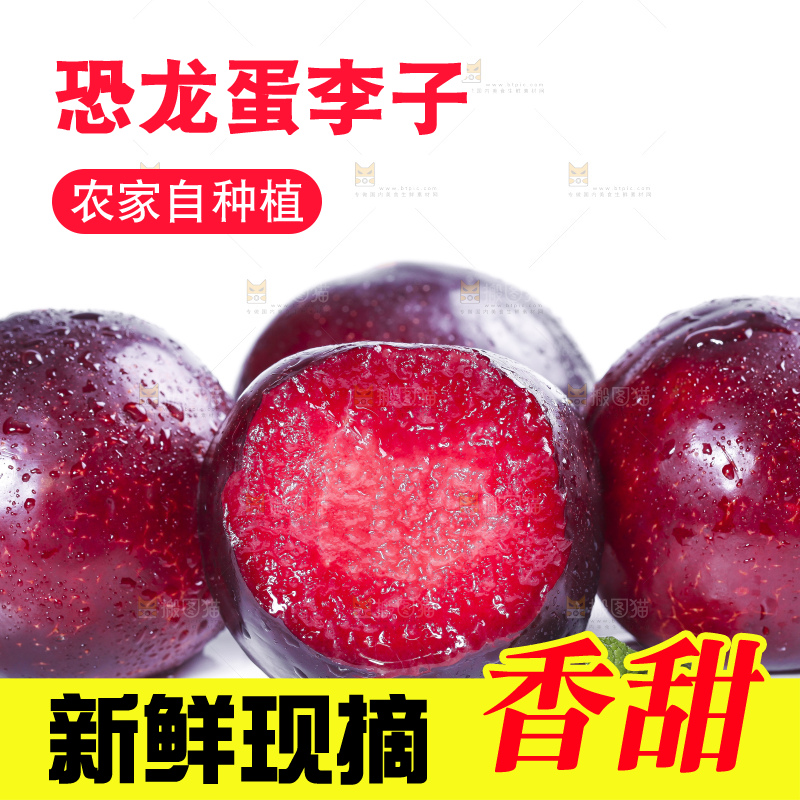 白底上摆放着恐龙蛋李