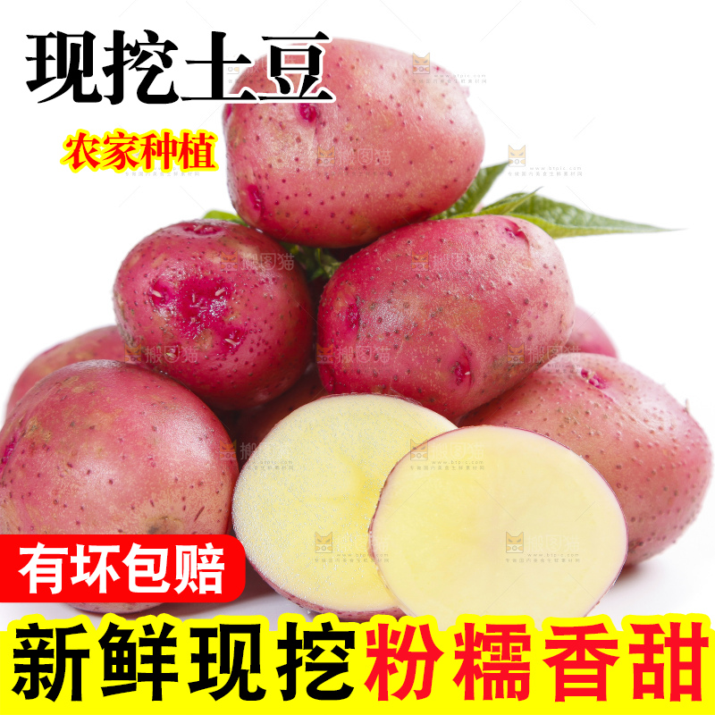 白底上摆放着红皮马铃薯