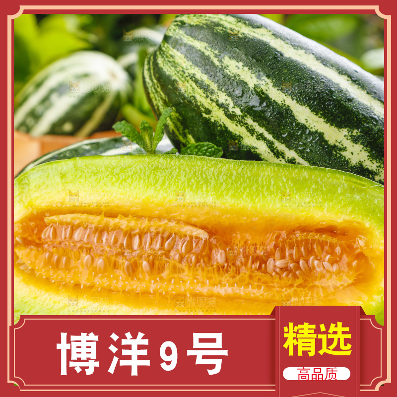 盘子里装着新鲜博洋9号甜瓜