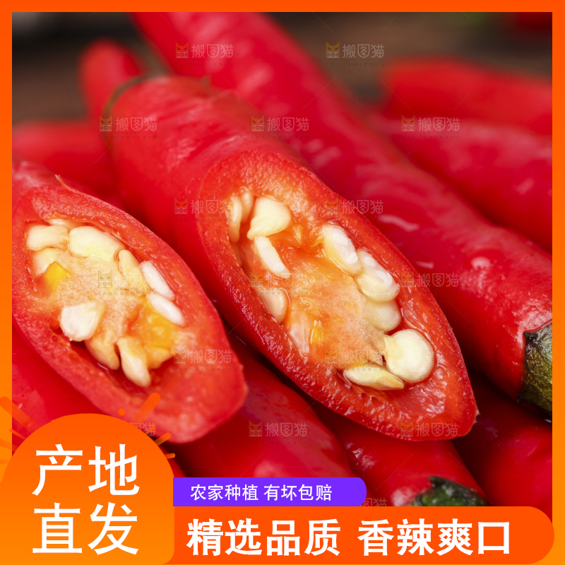 堆放着一堆的朝天椒