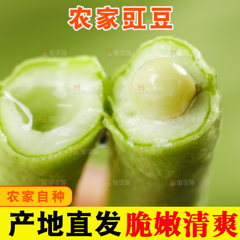 手里拿着长豇豆