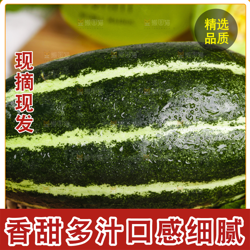编织垫上放着博洋9号甜瓜