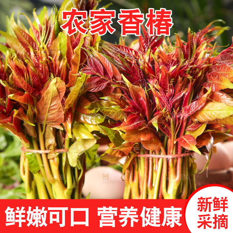 木板上放着香椿芽