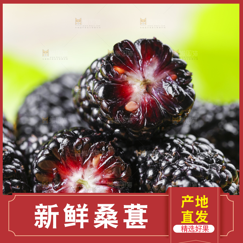 木底上摆放着黑桑葚