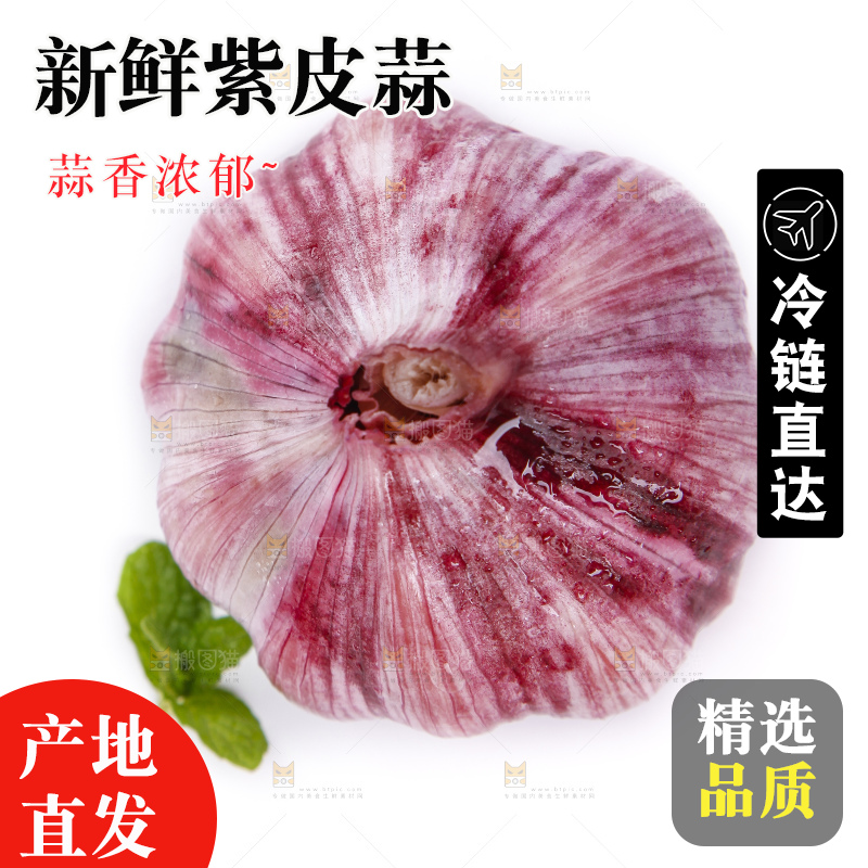 白底上放着紫皮蒜