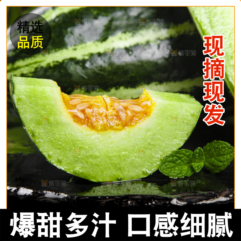 黑底上放着博洋甜瓜