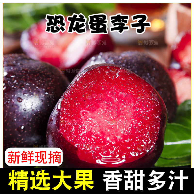 黑底上摆放着智利进口恐龙蛋