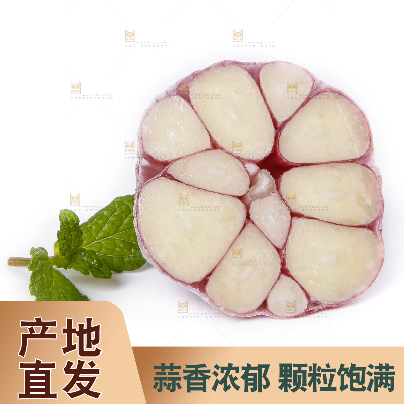 白底上放着紫皮多瓣大蒜