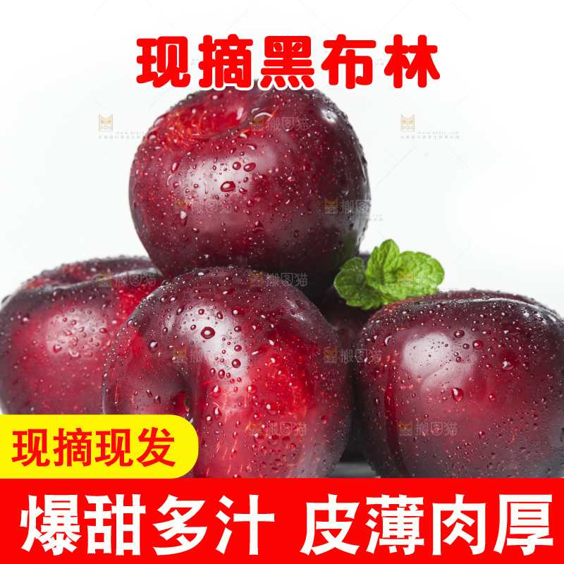 白底上摆放着黑布李