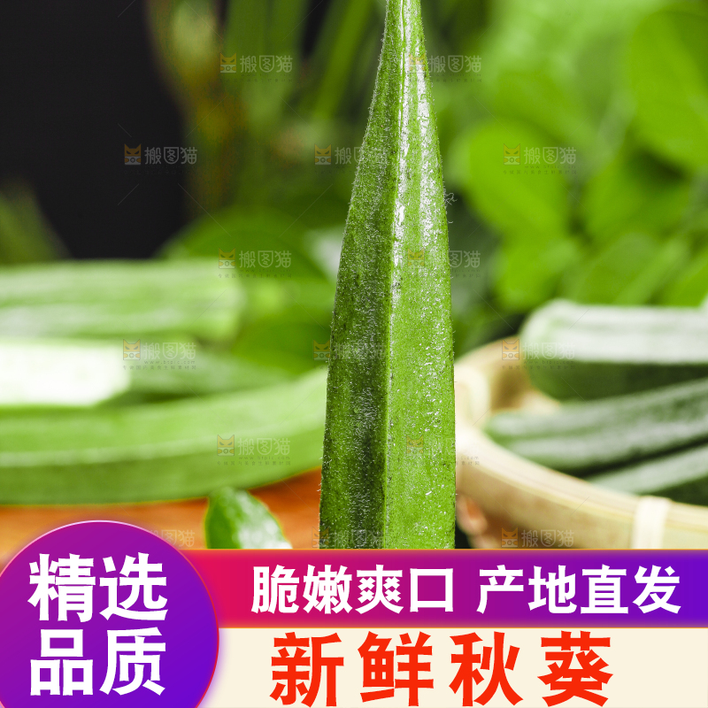 黑底上摆放着山东新鲜秋葵