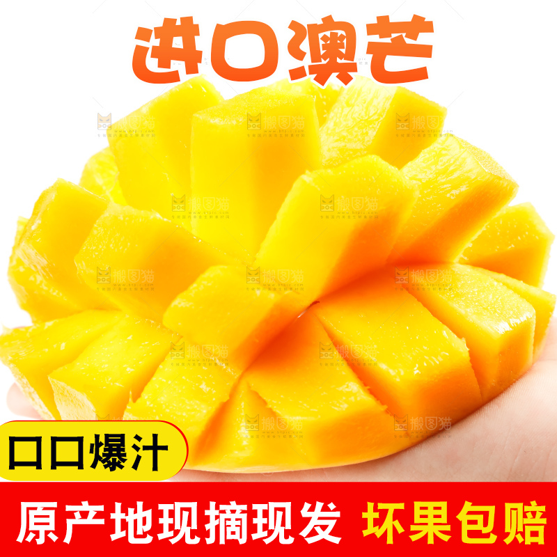 手里拿着甜心芒