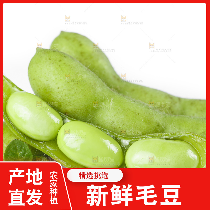 白底上摆放着毛豆角