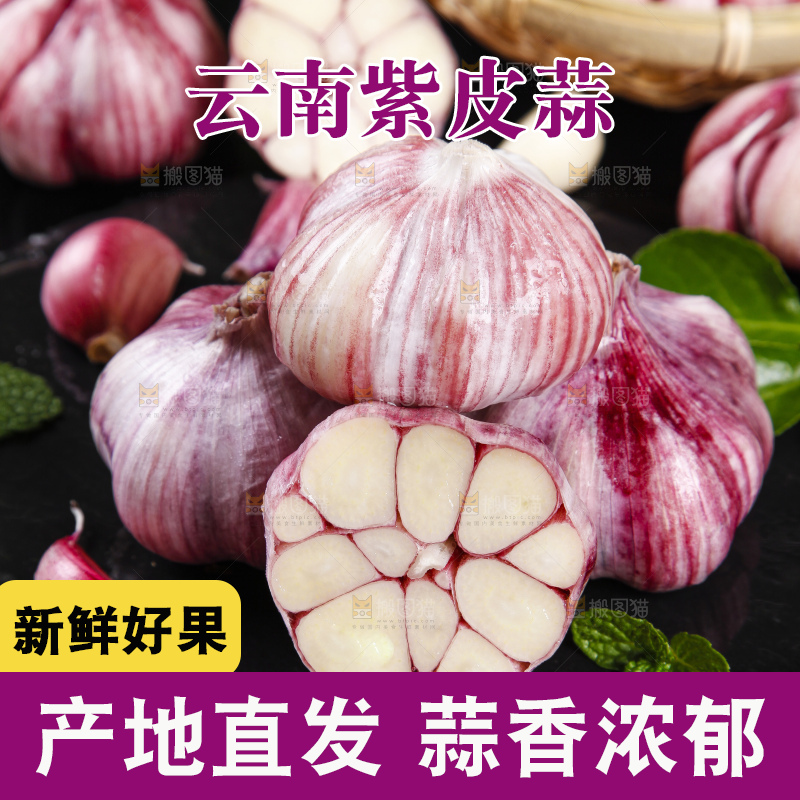 黑底上放着紫皮多瓣大蒜