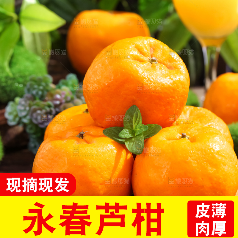 竹垫上放着宜昌芦柑