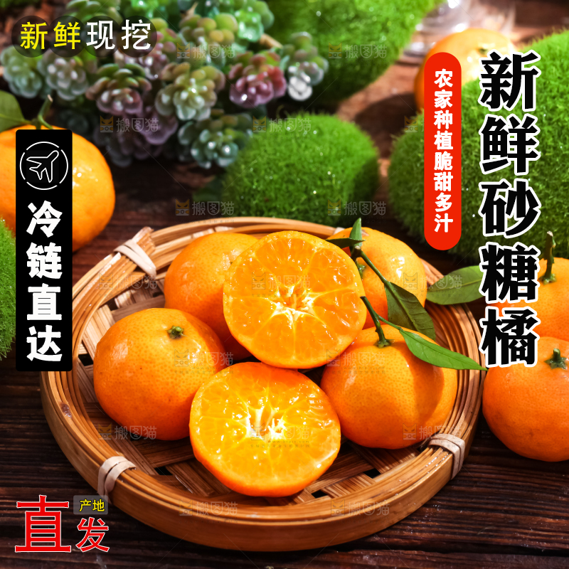 篮子里装着砂糖橘