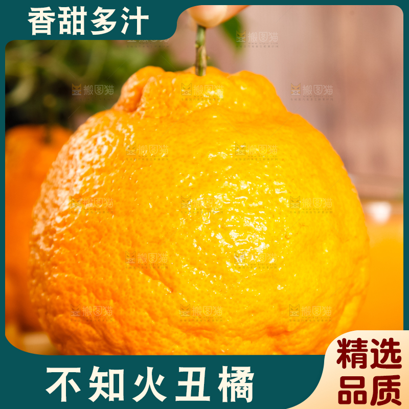 手里拿着不知火丑橘
