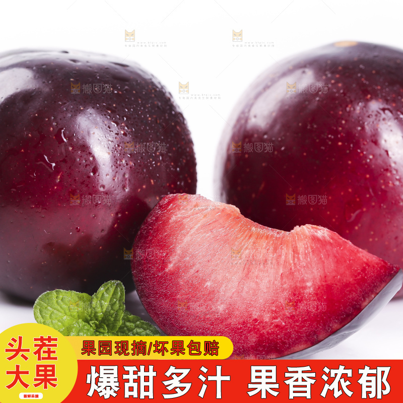 白底上放着智利进口恐龙蛋