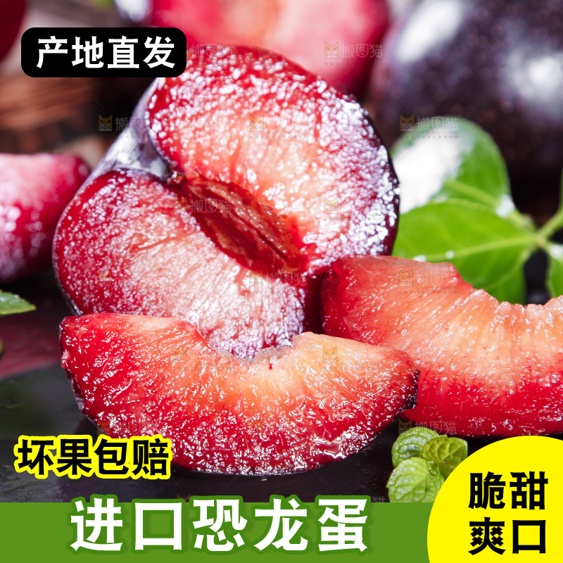 黑底上摆放着智利进口恐龙蛋
