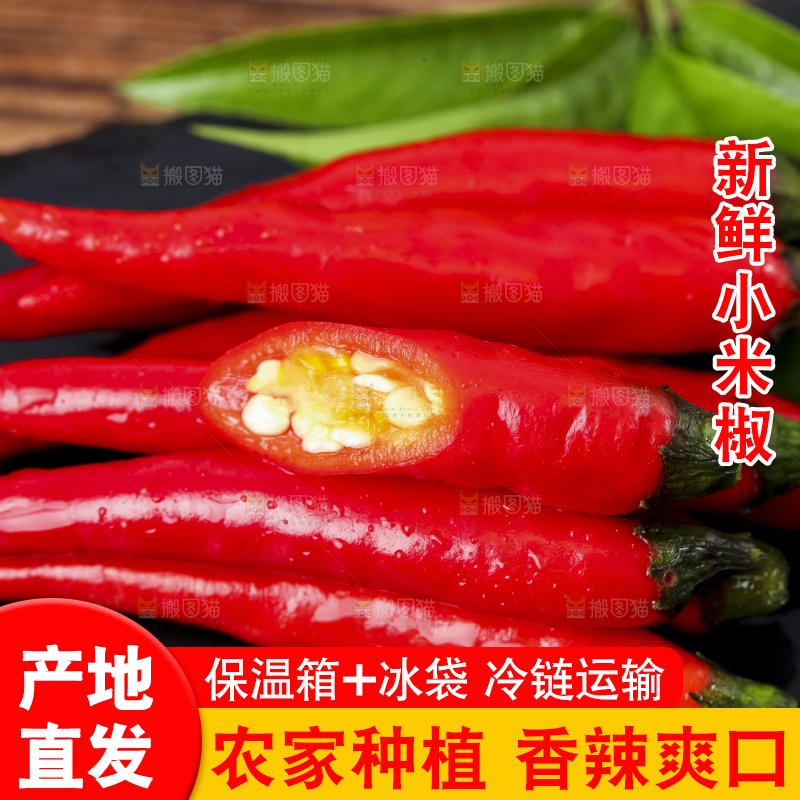 黑底上放着朝天吼