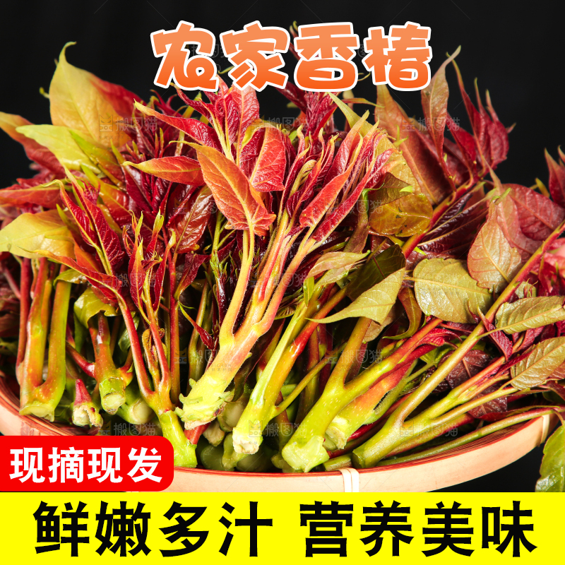 手里拿着一篮香椿芽