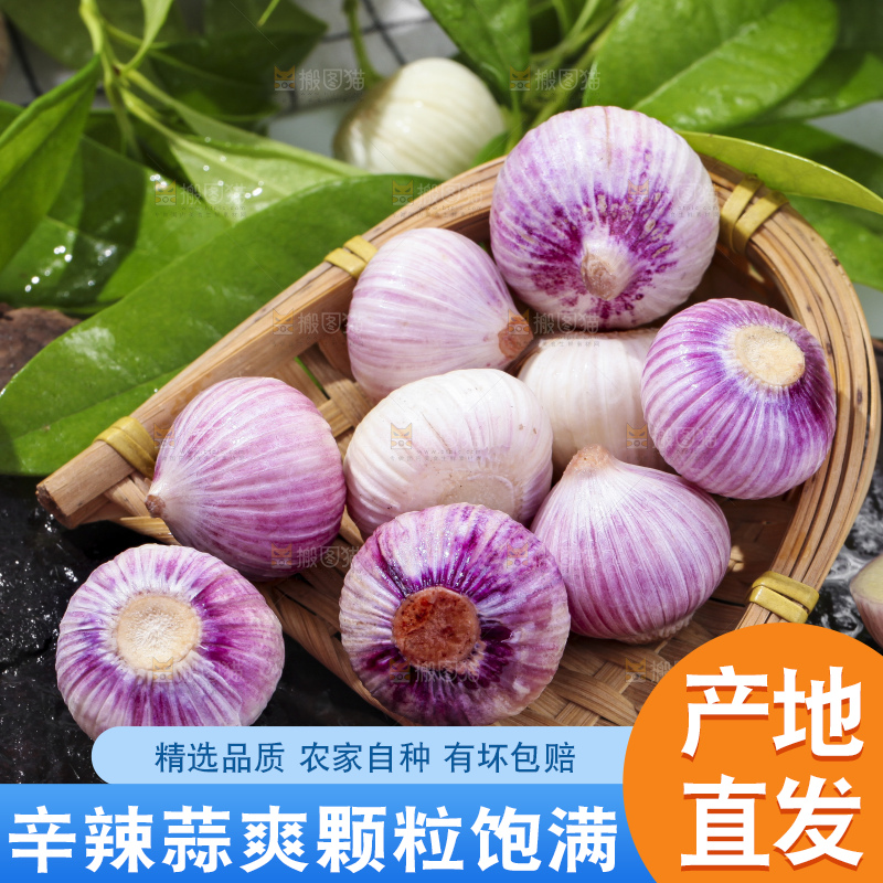 深底上摆放着云南独头蒜