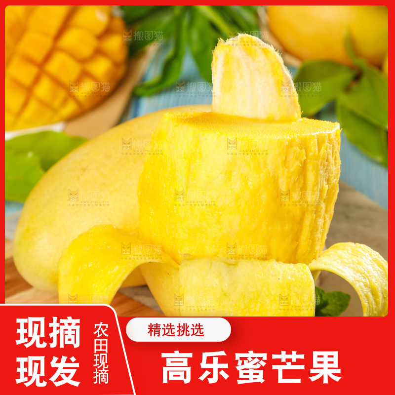 木板上放着金煌芒