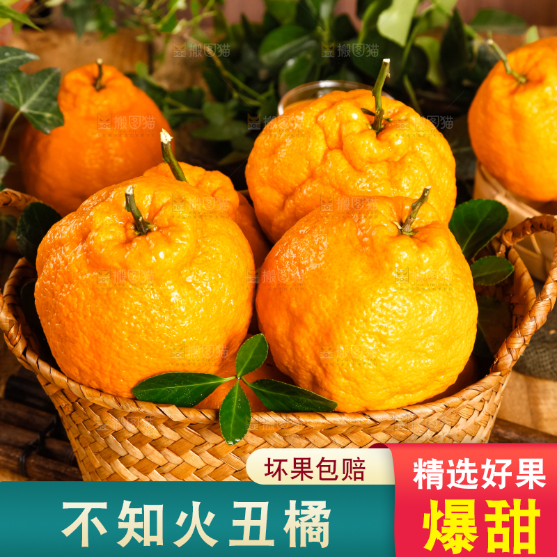 篮子里装着不知火柑橘