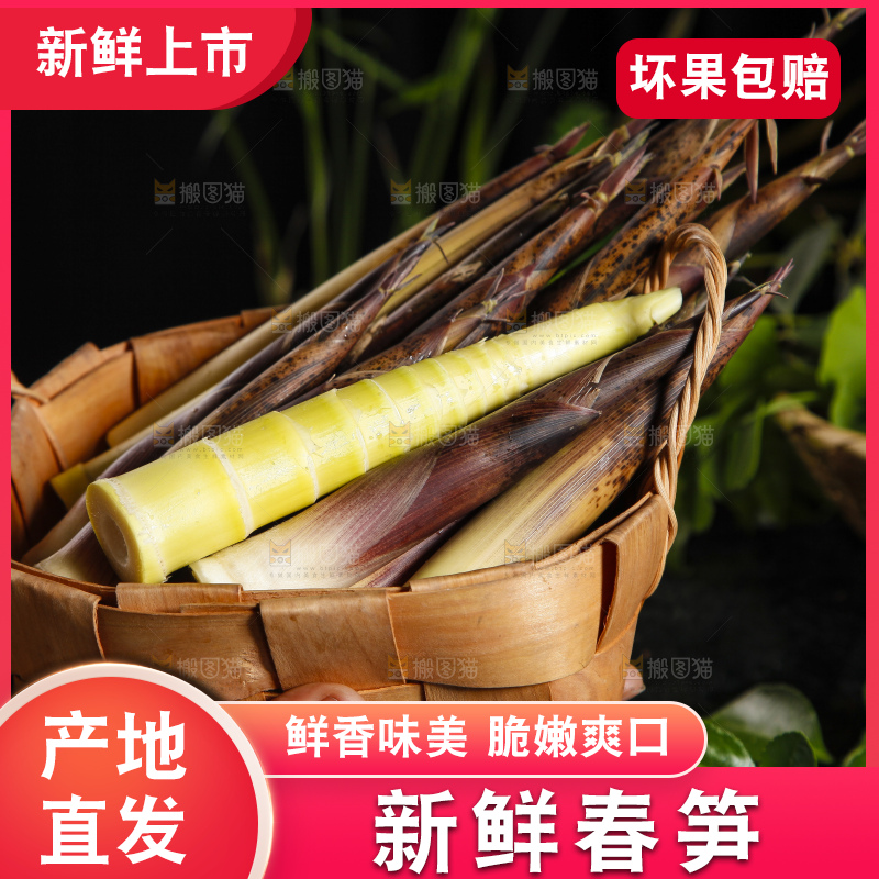 手里端着一篮春雷笋