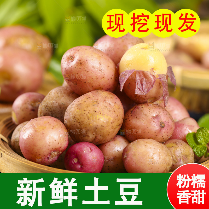 篮子里装着红土豆