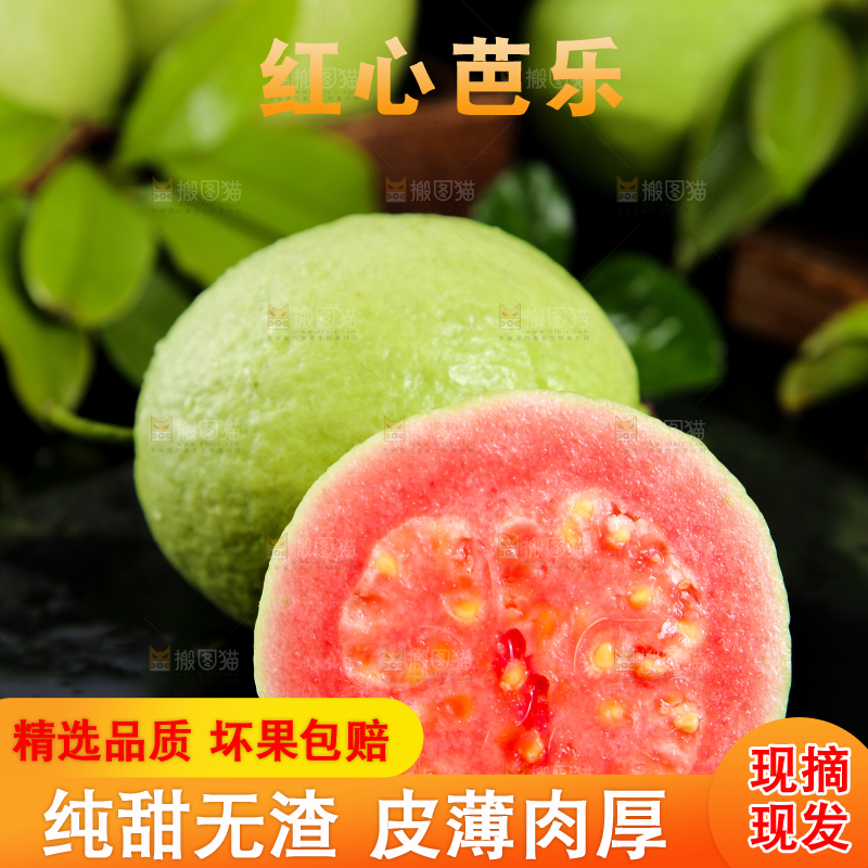 黑底上摆放着红心芭乐