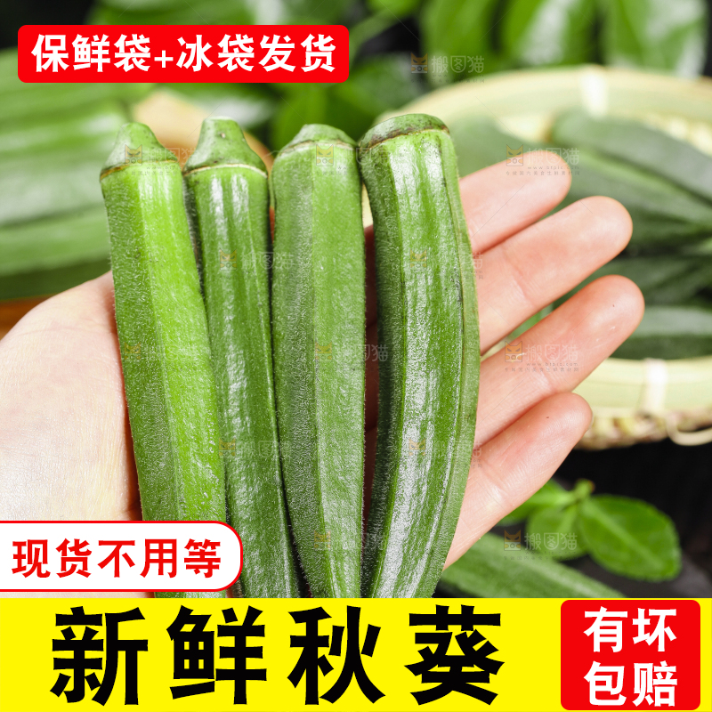 手里拿着秋葵