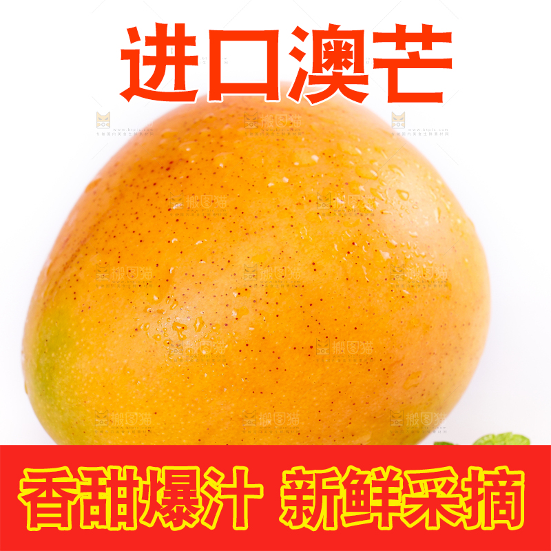 白底上摆放着澳芒