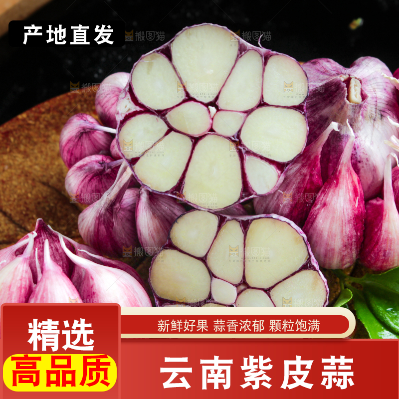 深底上摆放着紫皮多瓣蒜
