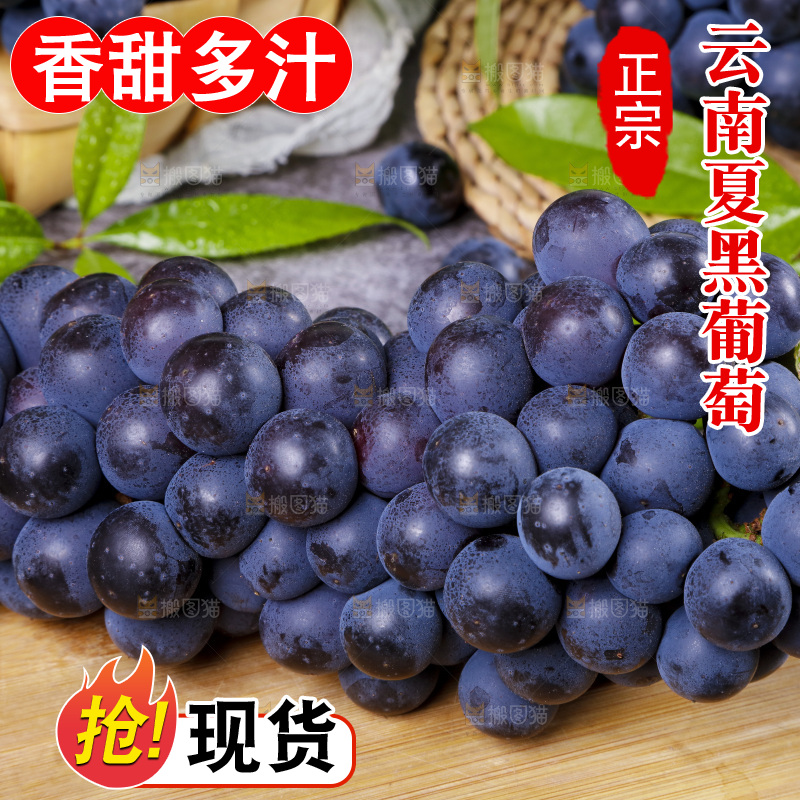 木底上摆放着夏黑无籽葡萄