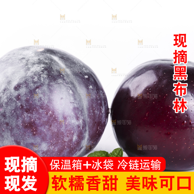 白底上摆放着黑布朗