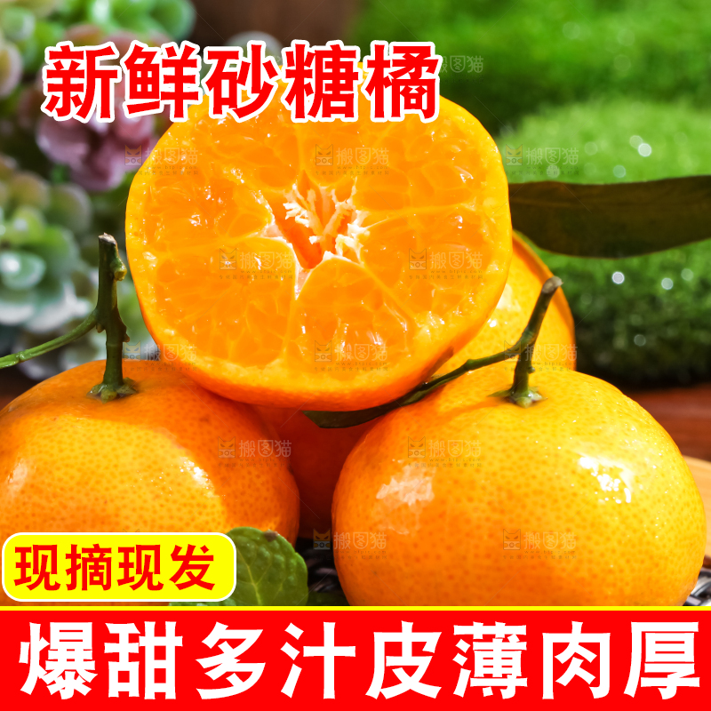木底上摆放着砂糖橘