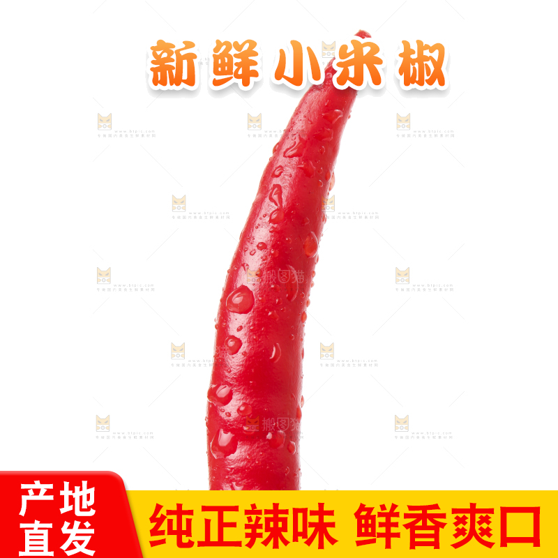 手里拿着小尖椒
