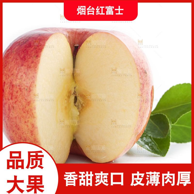 白底上摆放着山东烟台红富士