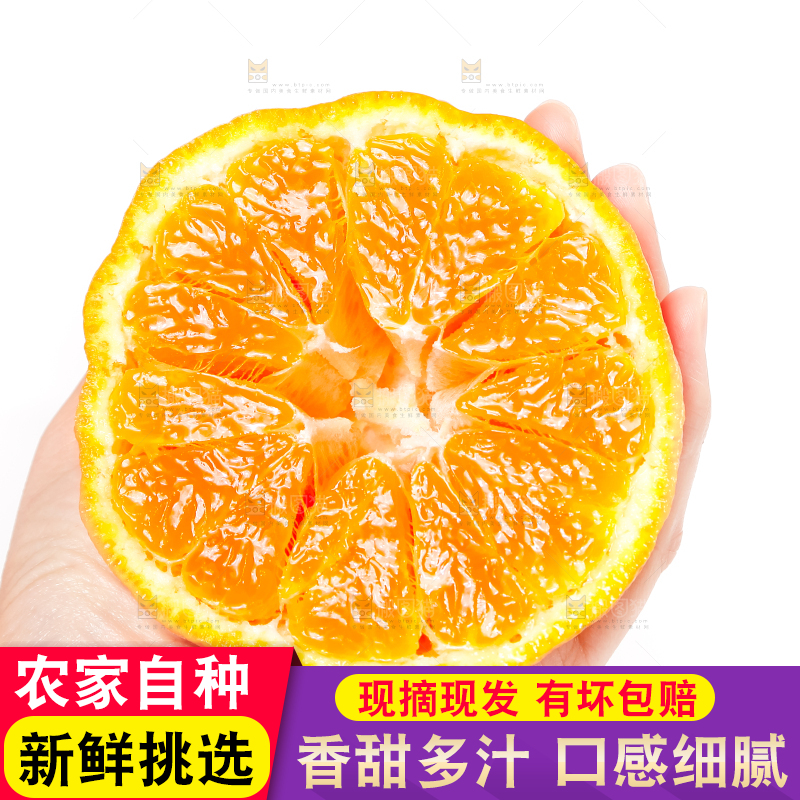 手里拿着丑柑
