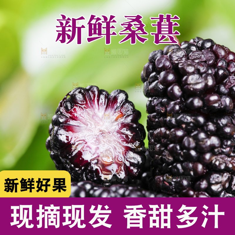 深底上放着桑葚子