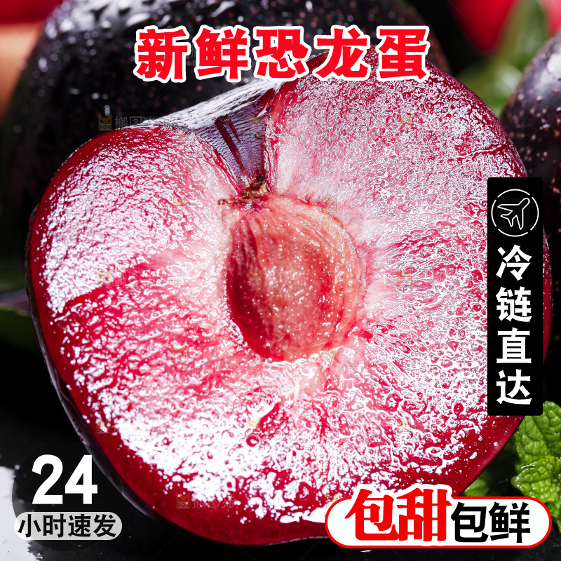 黑底上摆放着智利进口恐龙蛋
