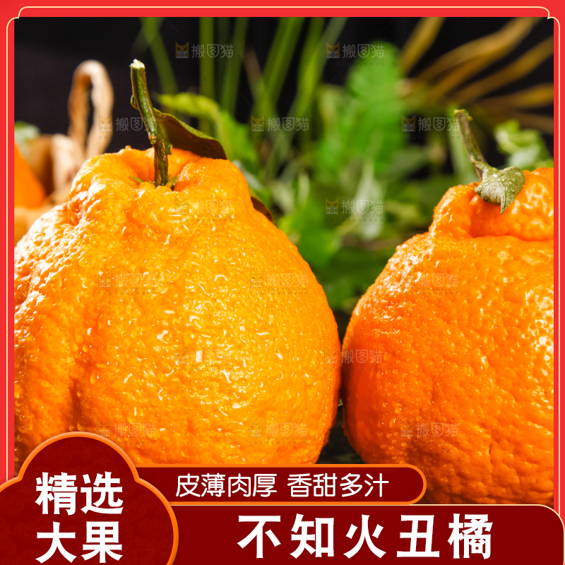 黑底上放着丑八怪橘子