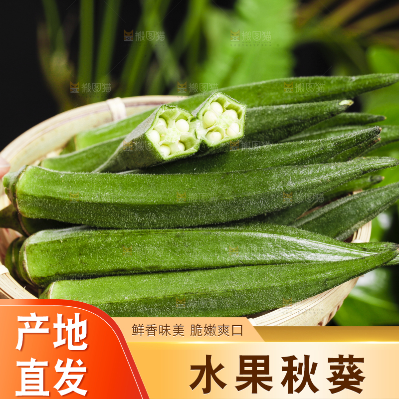 篮子里装着鲜嫩秋葵
