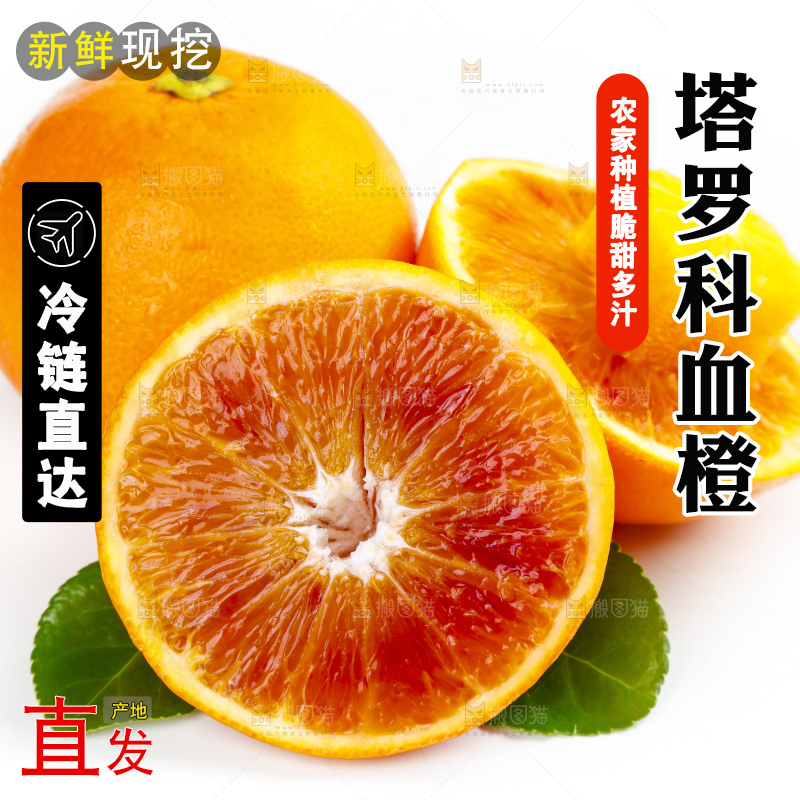 白底上摆放着血橙