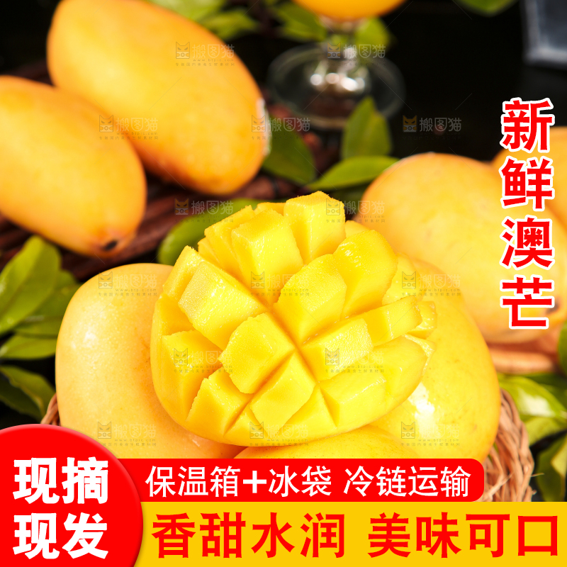 篮子里装着澳芒