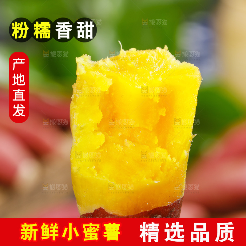 手里拿着板栗红薯