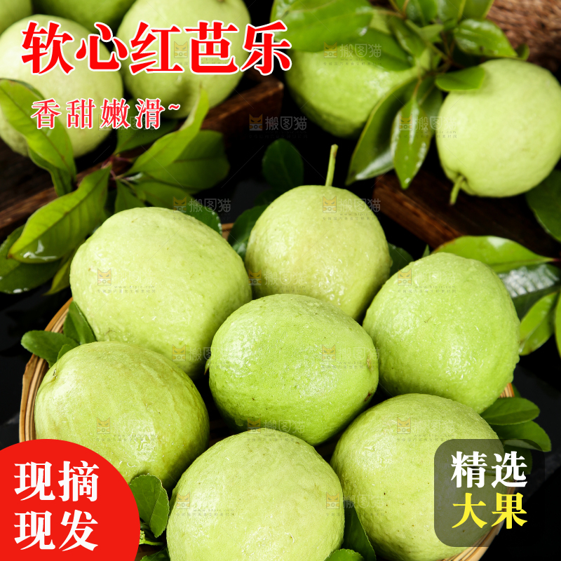 篮子里装着广西红心芭乐