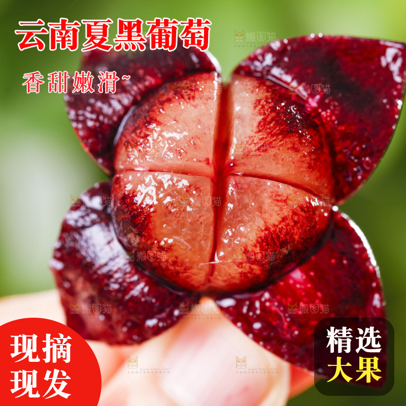 手里拿着剥皮了的紫葡萄