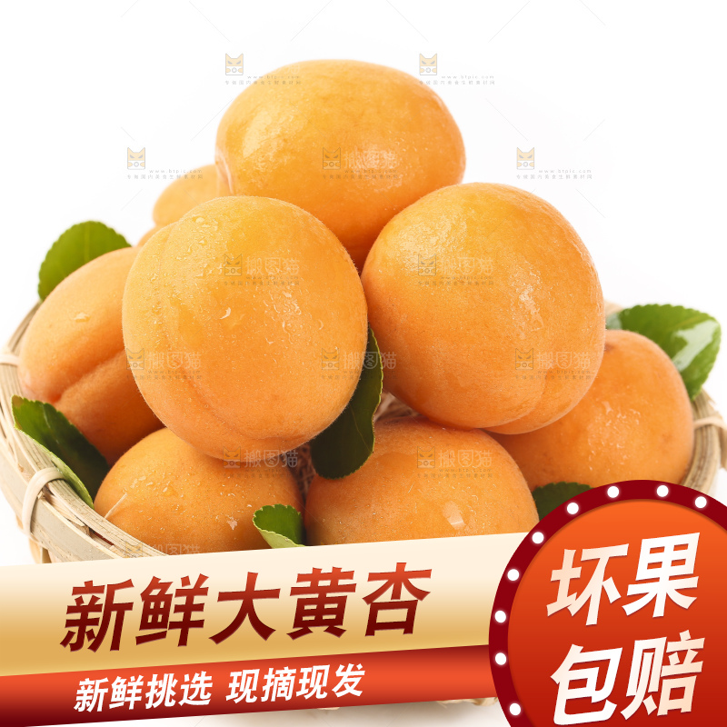 篮子里装着烟台杏子