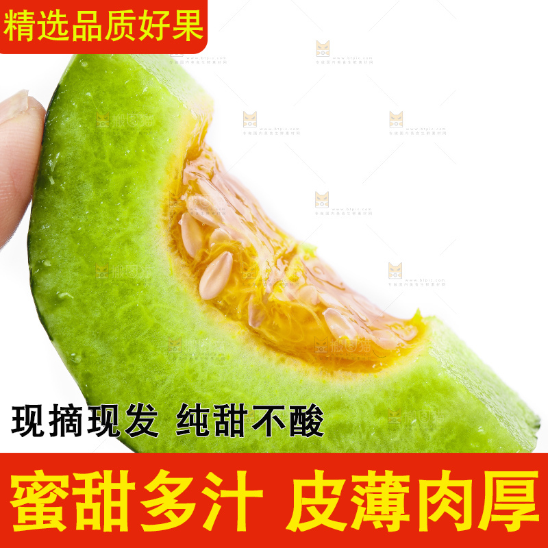 手里拿着博洋9号甜瓜